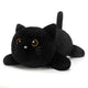 SQEQE weighted cat stuffed animal isolated in a low resting product view on a plain background
