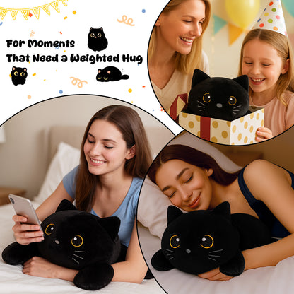 SQEQE weighted cat stuffed animal featured across gifting reading and bedtime scenes