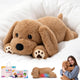 SQEQE Labrador weighted stuffed animal - main product image with gift packaging