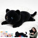 SQEQE Black Cat weighted stuffed animal - main product image with gift packaging