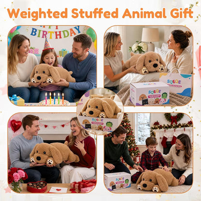 SQEQE Labrador weighted stuffed animal - gift occasions with gift box and bag